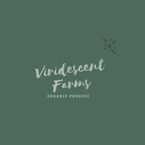 Design unique minimal professional logo for business