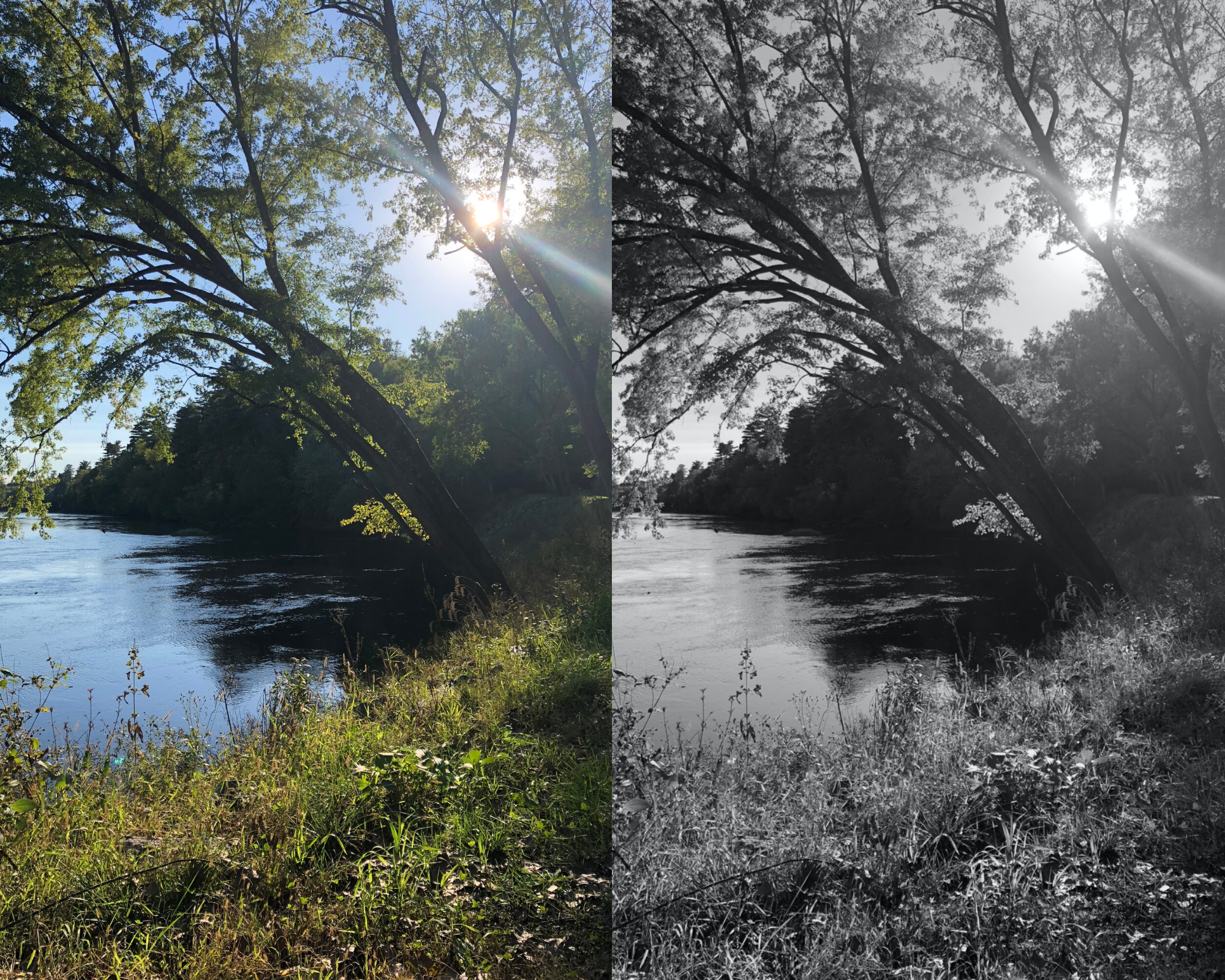 Adding Color to Black and White Photo