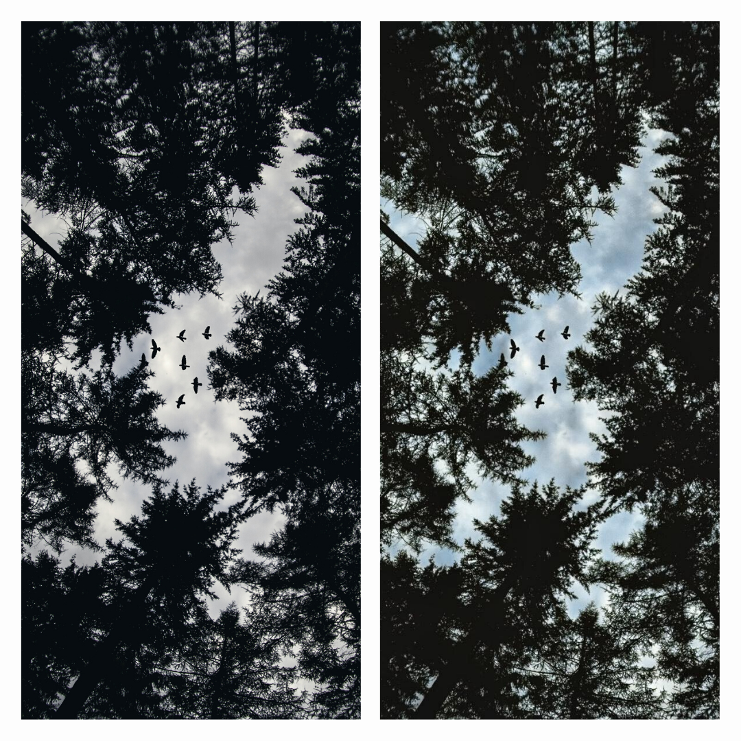 Adding Color to Black and White Photo