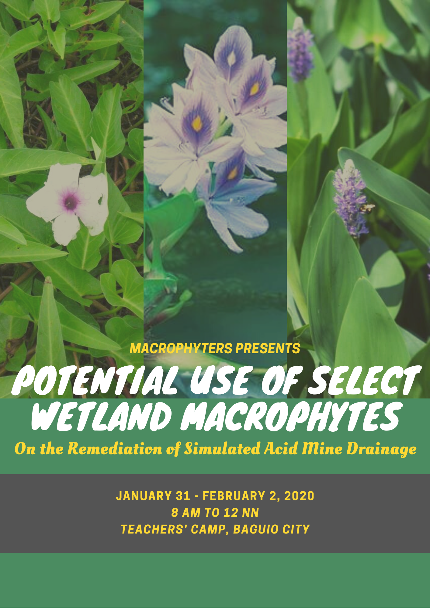 Book cover or posters that can be used anywhere