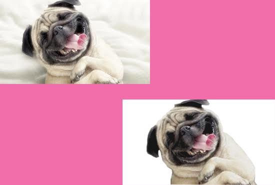 I will do photo background removal