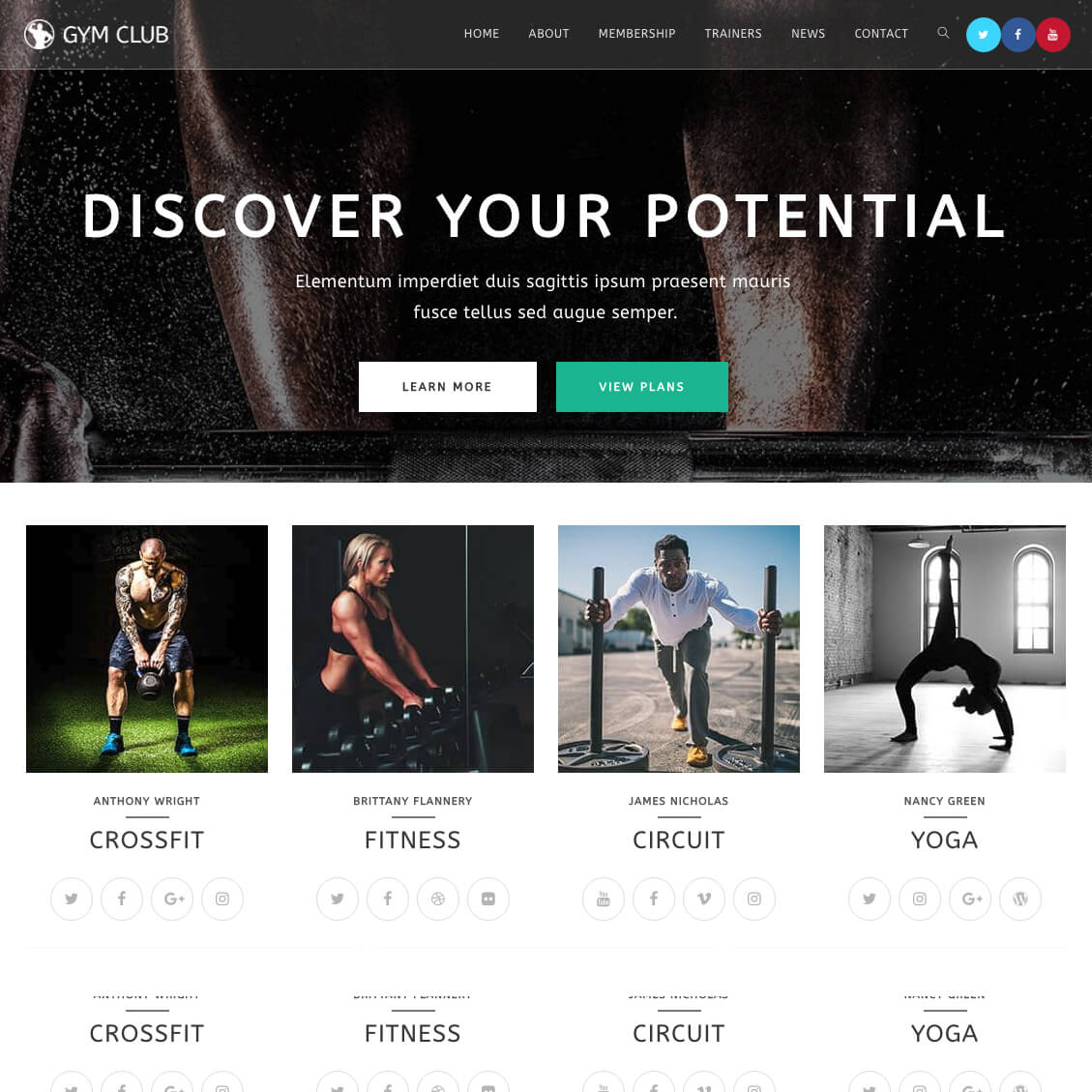 I will create a SEO friendly WordPress website