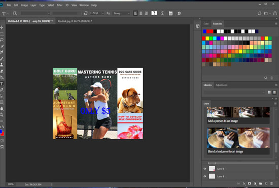 I will do professional book cover or ebook cover design