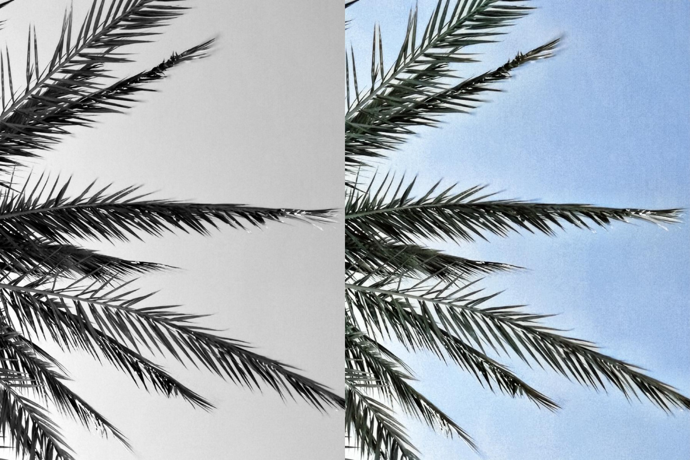 I will colour your images instantly