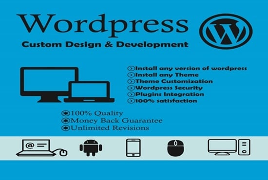 I will offer install wordpress theme setup demo and customize ,plugin within 24 hour