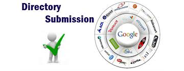 i will sell your website to 500 directories