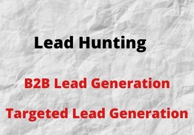 I will do b2b lead generation, build email list for email marketing