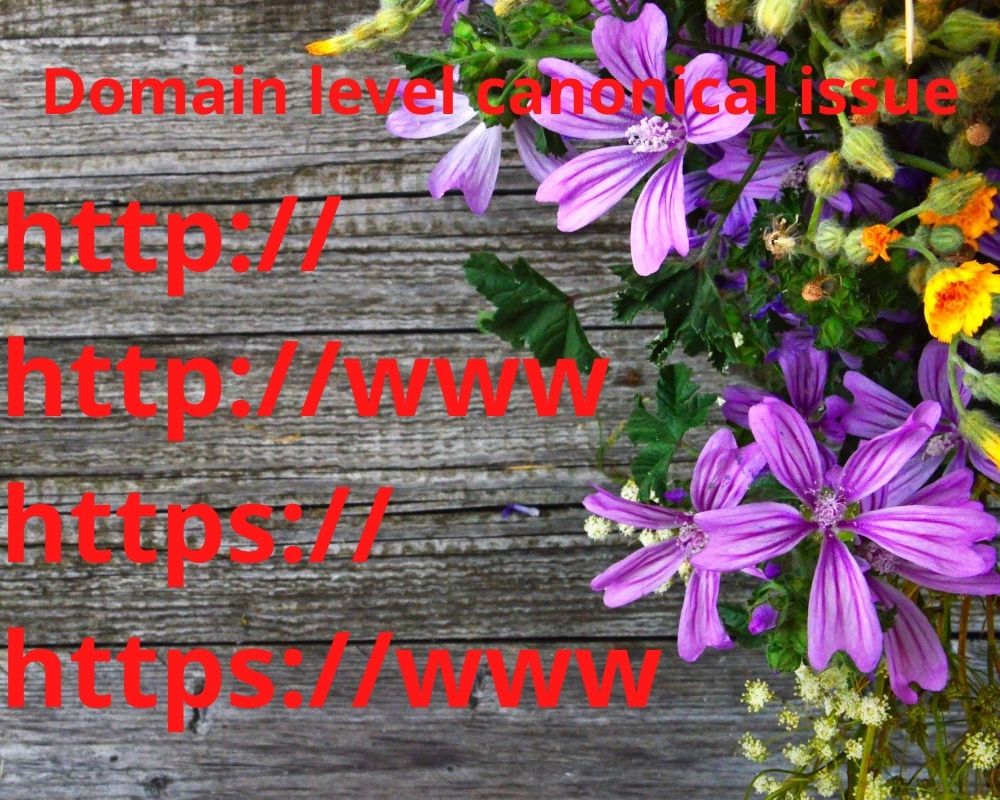 I will do Domain level canonical issue