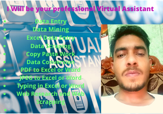 I will be your Best and Professional Virtual Assistant