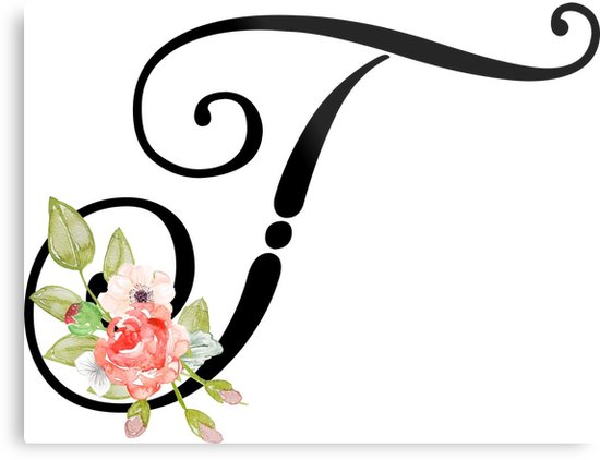 Graphic designing,logo designing,photo editing 