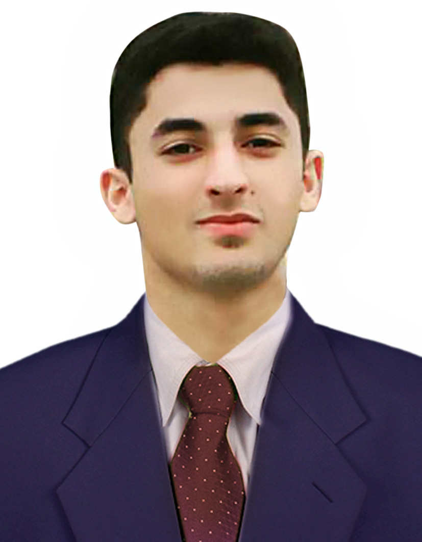 Graphics Designer Professional, Professional Logo Designer