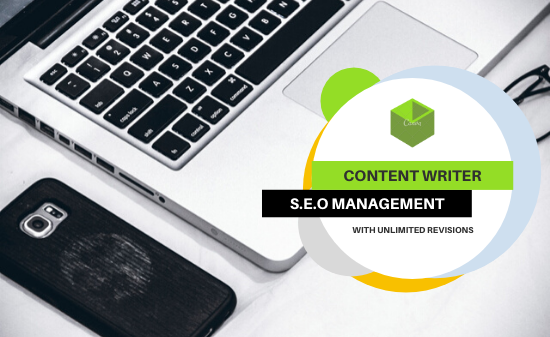 I will do SEO optimized content writing for your website of every niche.