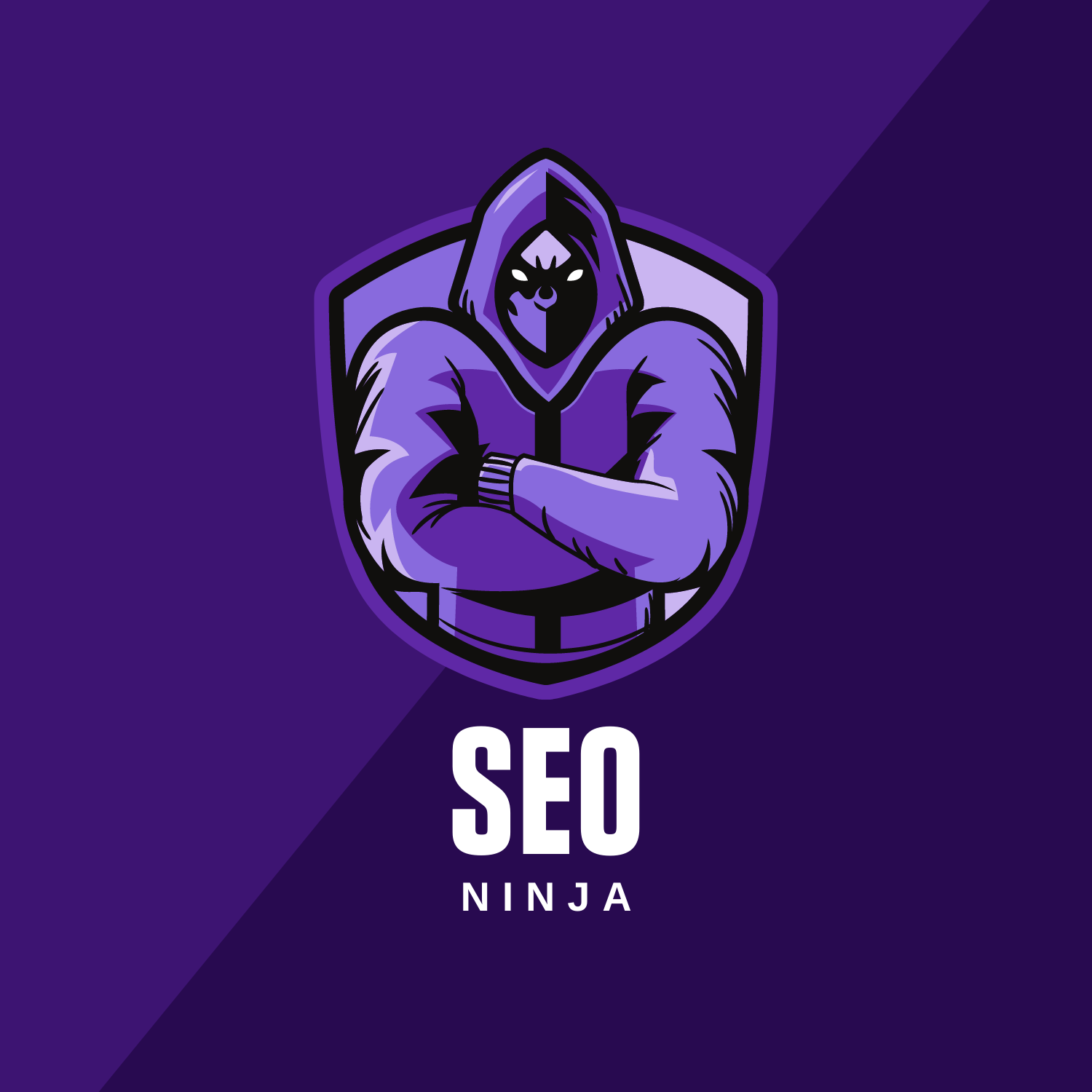 Providing you a high-quality, financially viable SEO audit with swift turnaround 