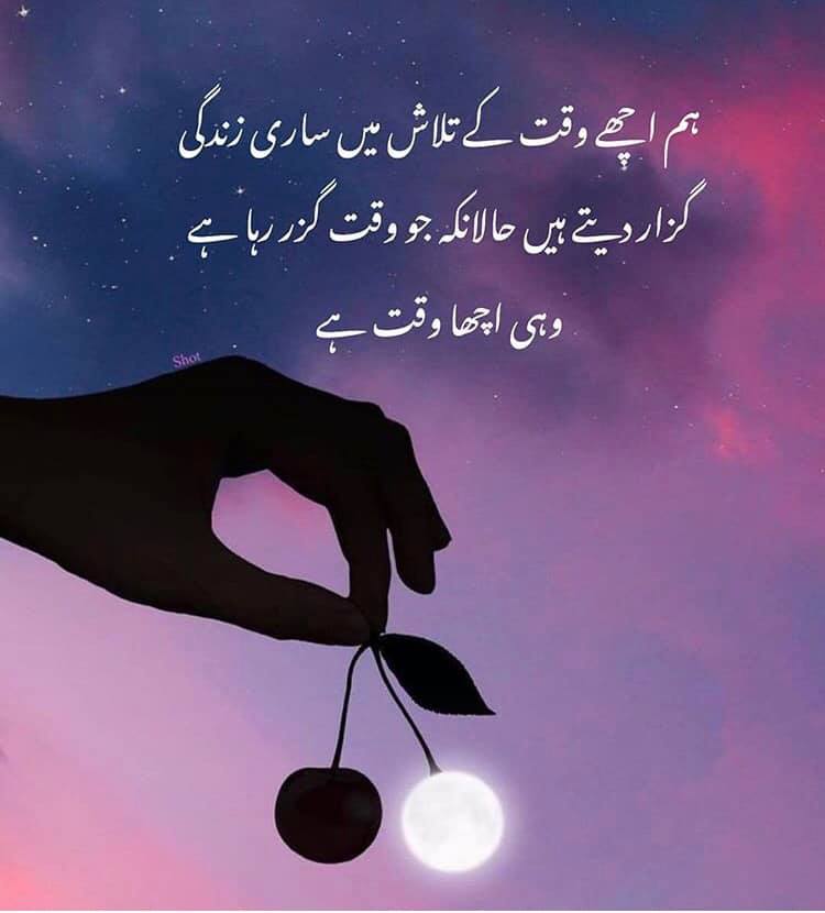 Shoot Your Site Into TOP Google Rankings Your Website on Google by Manual High Authority Dofollow SE