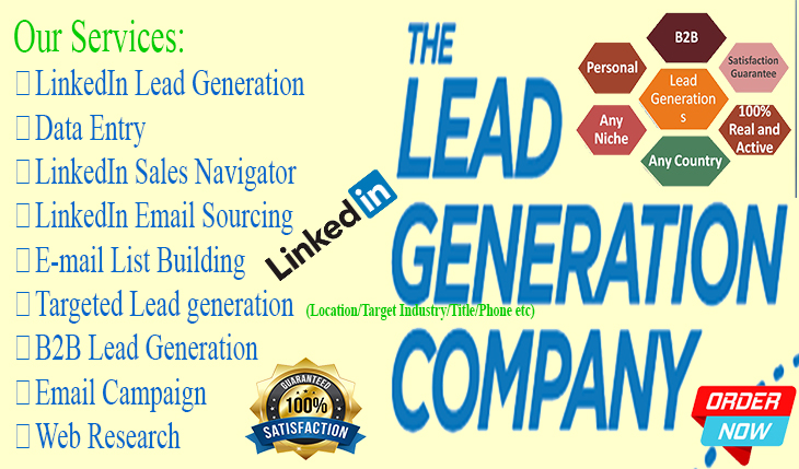 I will do b2b, linkedin lead generation and email marketing