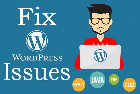 I will do bug fixing in wordpress