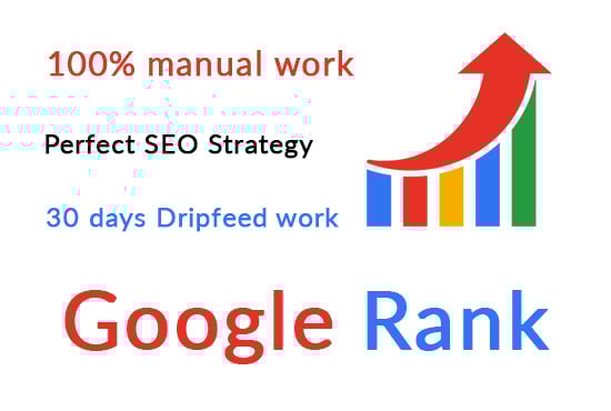 I will provide google ranking full service