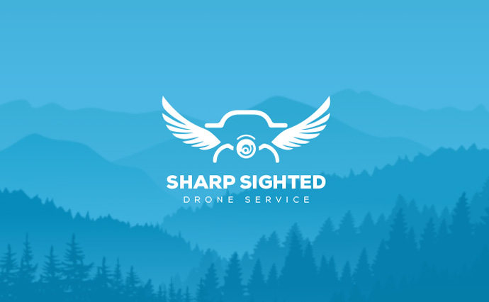 I will create minimalist modern creative business logo design