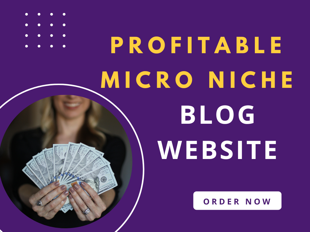 You will get Micro Niche Blog Website with 100 SEO Blog Posts