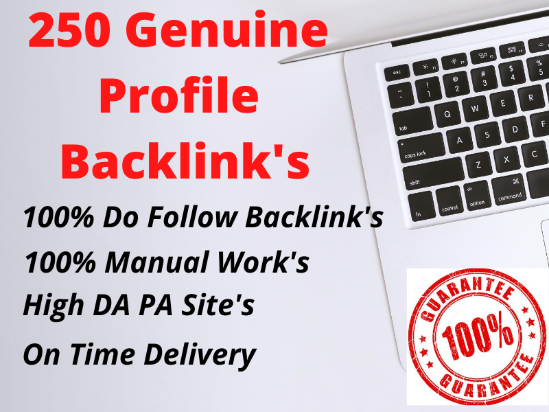 I Will Do Manually Unique 250 Profile Backlinks on Hi...