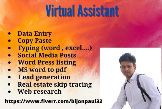 I will be Professional virtual assistant 