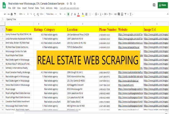 complete data entry web scraping in next 4 hours