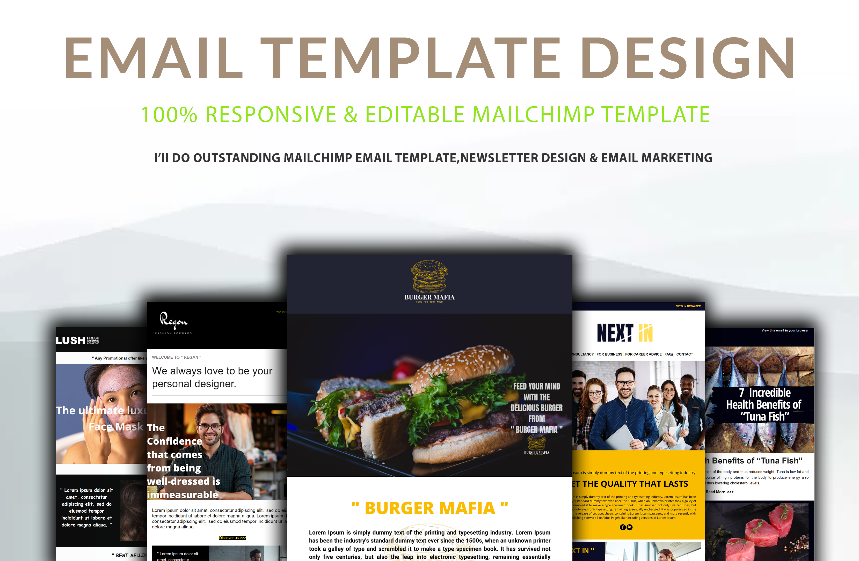 I will do mailchimp template design and newsletter au...