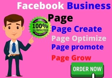 I will create, optimize Facebook business page
