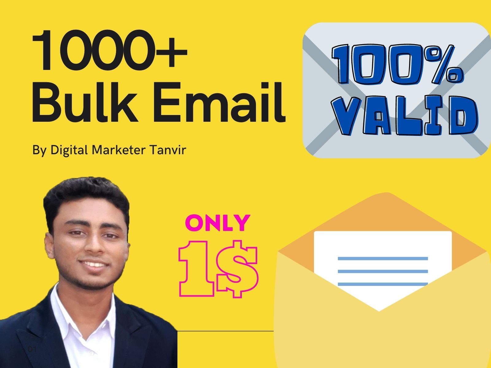 I will provide niche based 1000 bulk email list and v...