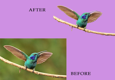 I will remove background picture of a certain subject or product