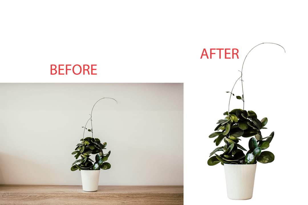 I Will Background Remove any images of 24 hrs