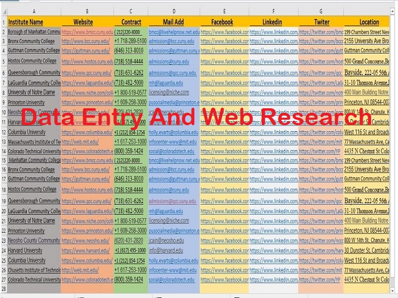 I will be your virtual assistant for web research, data entry and excel