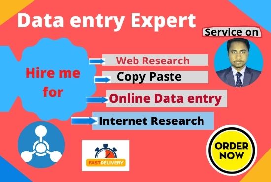 I will do Data entry service for you perfectly and ho...