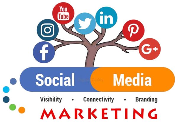 I will Be your facebook professional business page manaI will do SEO keyword research for 1st pagger