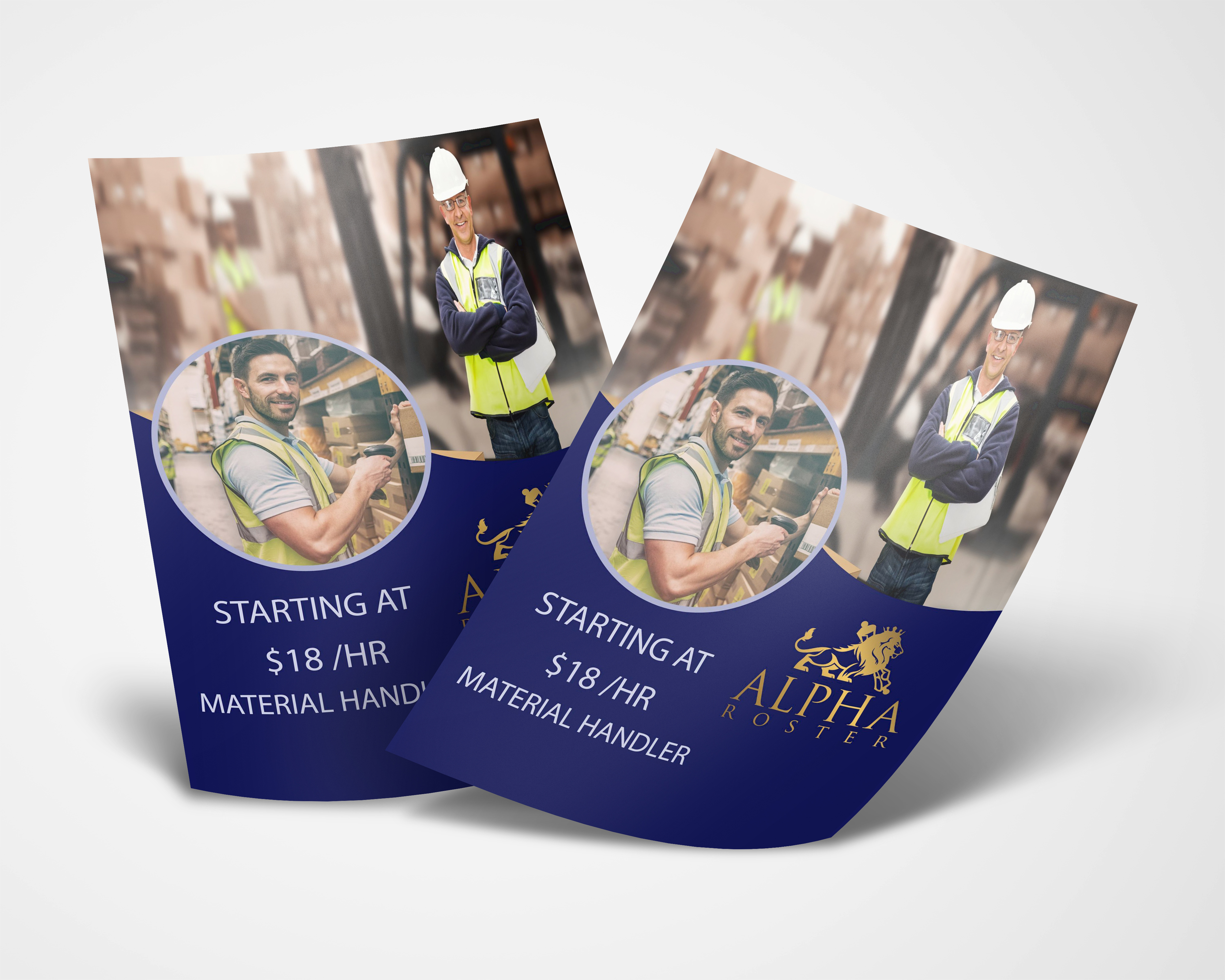 design a professional flyer, brochure or poster