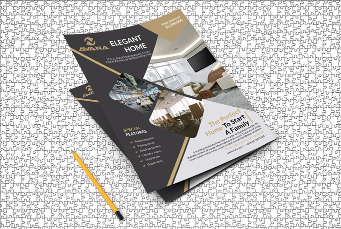 I will do a Professional Flyer, Leaflet, Brochure ro Poster design