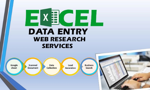 I Will do 100% manual Excel Data Entry