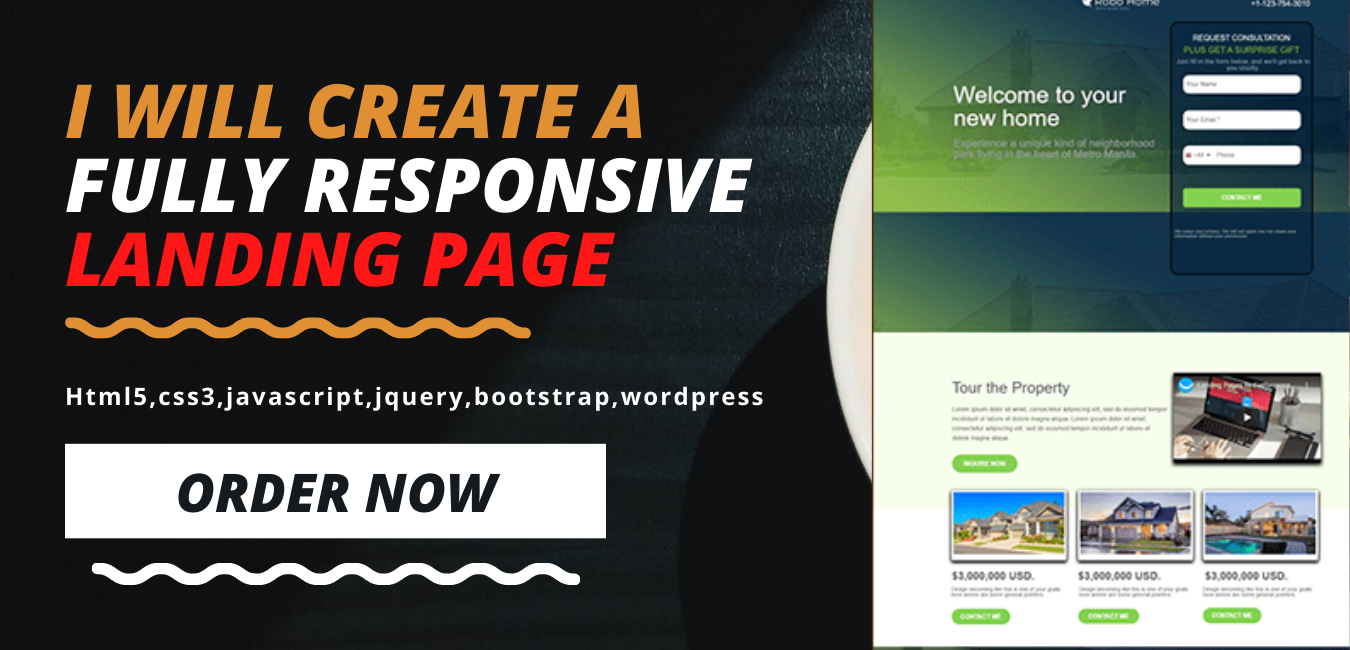 Create a professional landing page