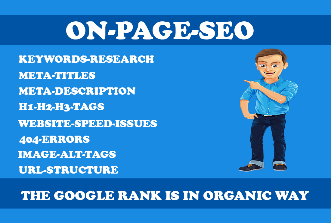 I will on page SEO for your website 24 hours