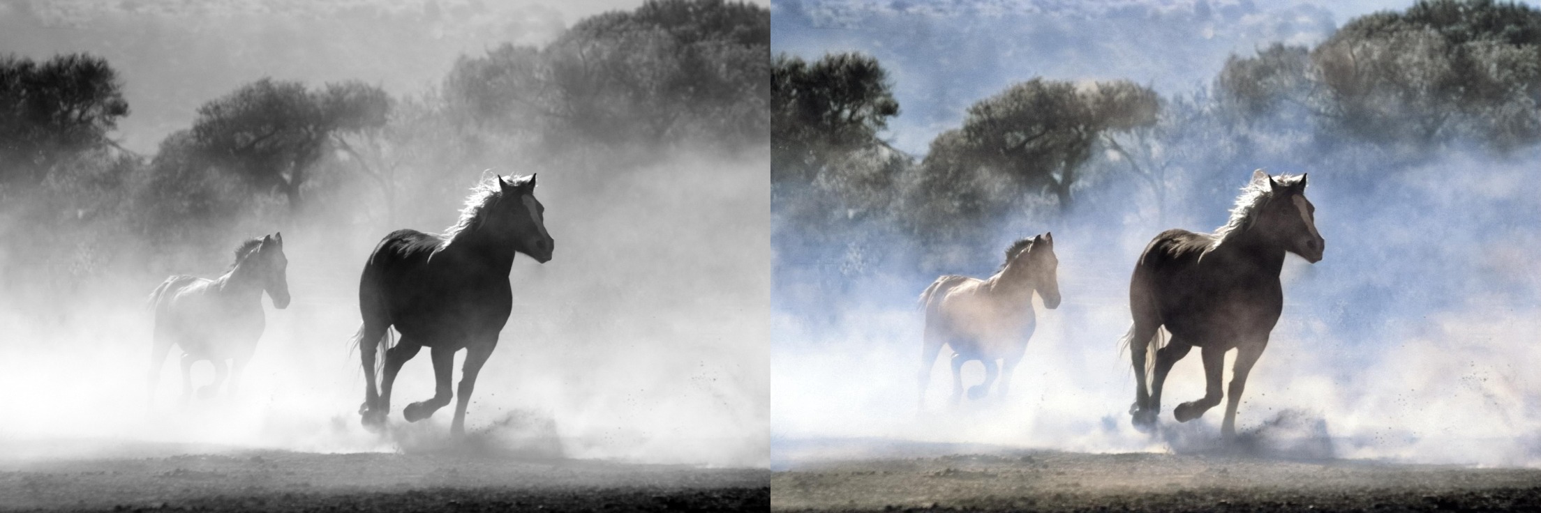 I will restore and colorize your old photos for an awesome present