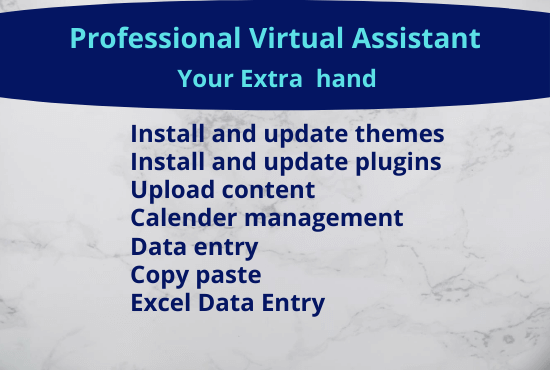 I will be your professional WordPress virtual assistant