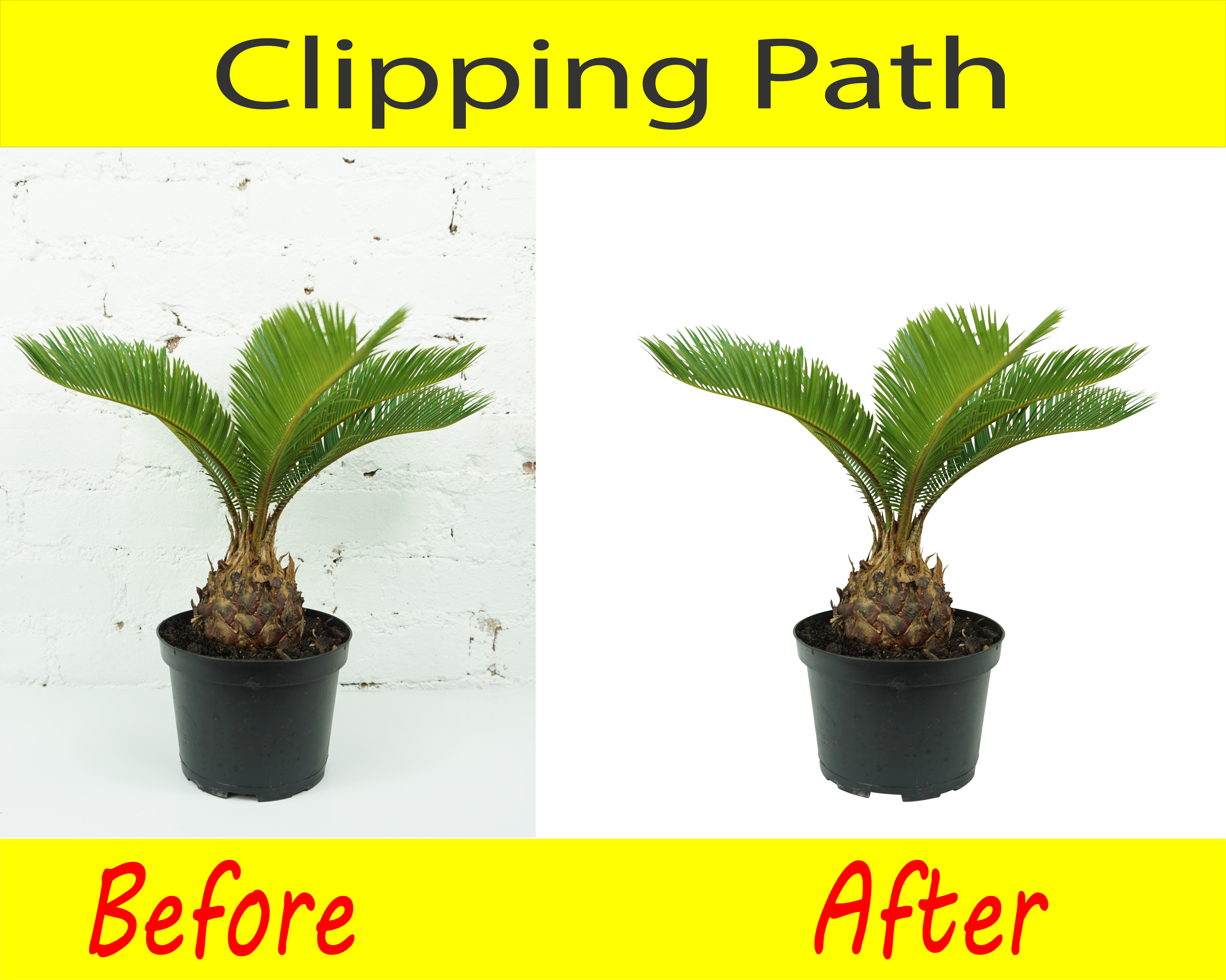 I will background removal photo editing