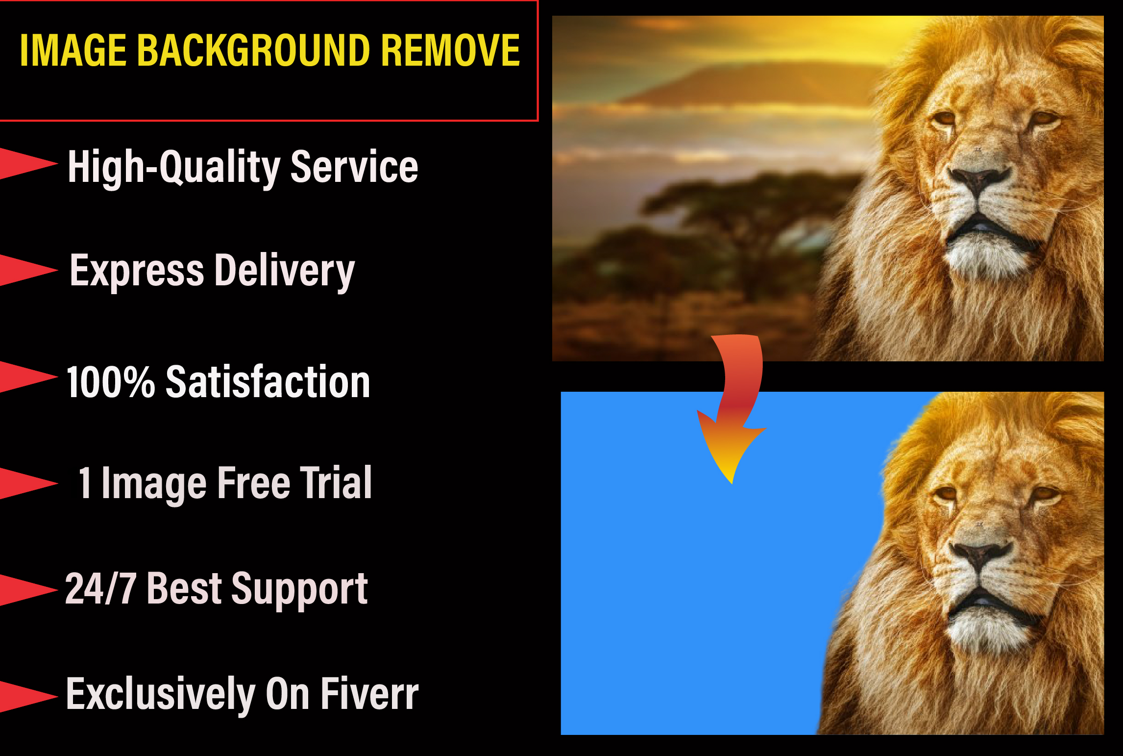I will do superfast background remove perfectly