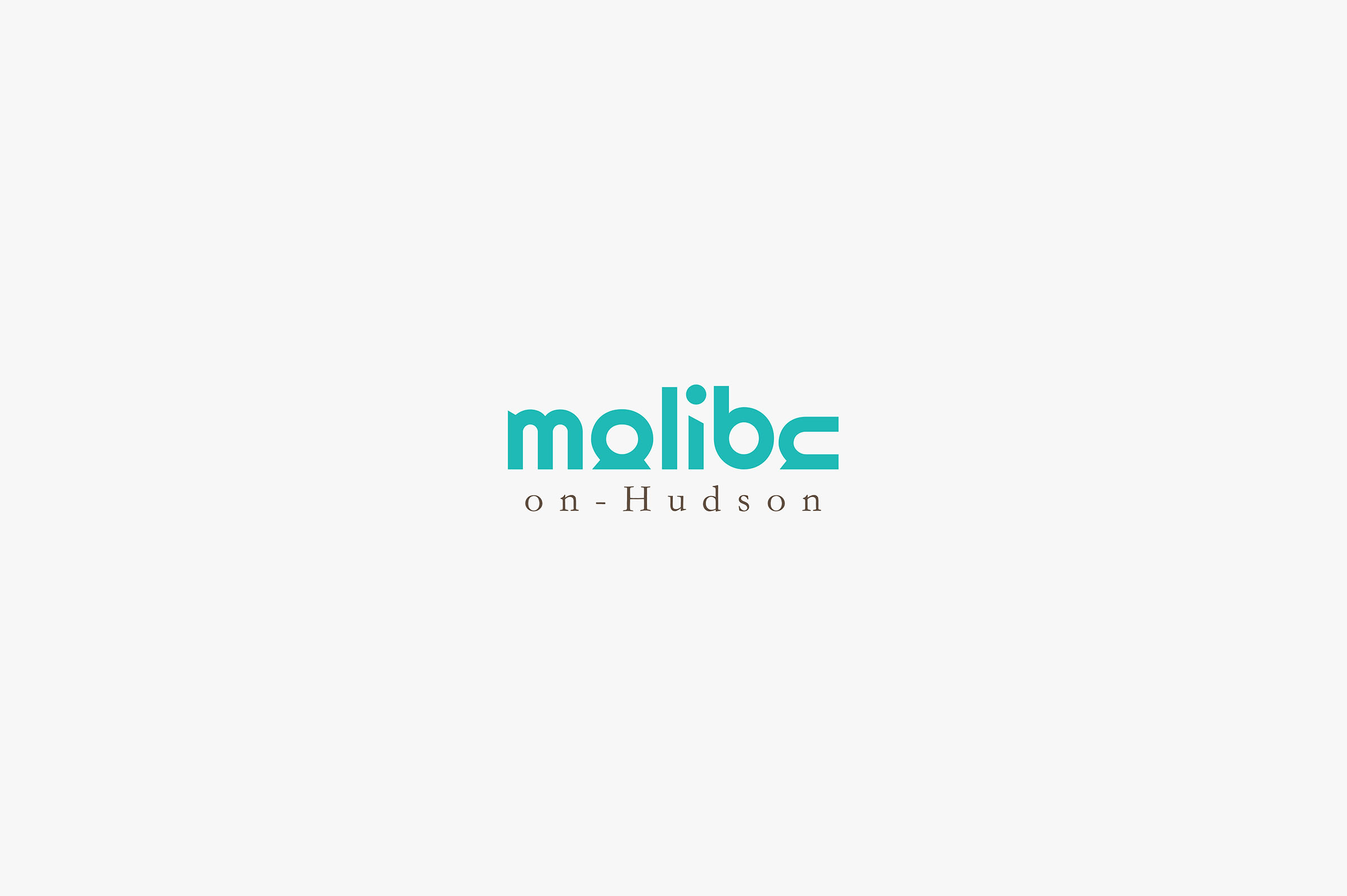 I will do professional minimalist modern logo design for business