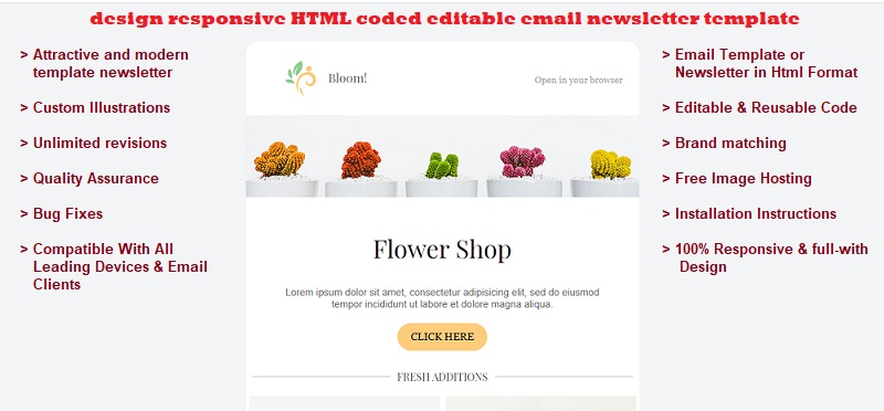 I will design responsive HTML coded editable email template 