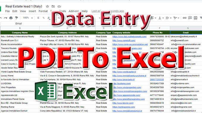  I will do data entry from pdf file or image to excel file