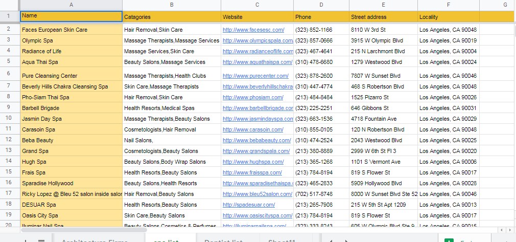 I will be your professional and dedicated virtual Assistant 