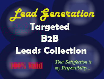 I will do 100 B2B Lead Generation with 100% valid email list.
