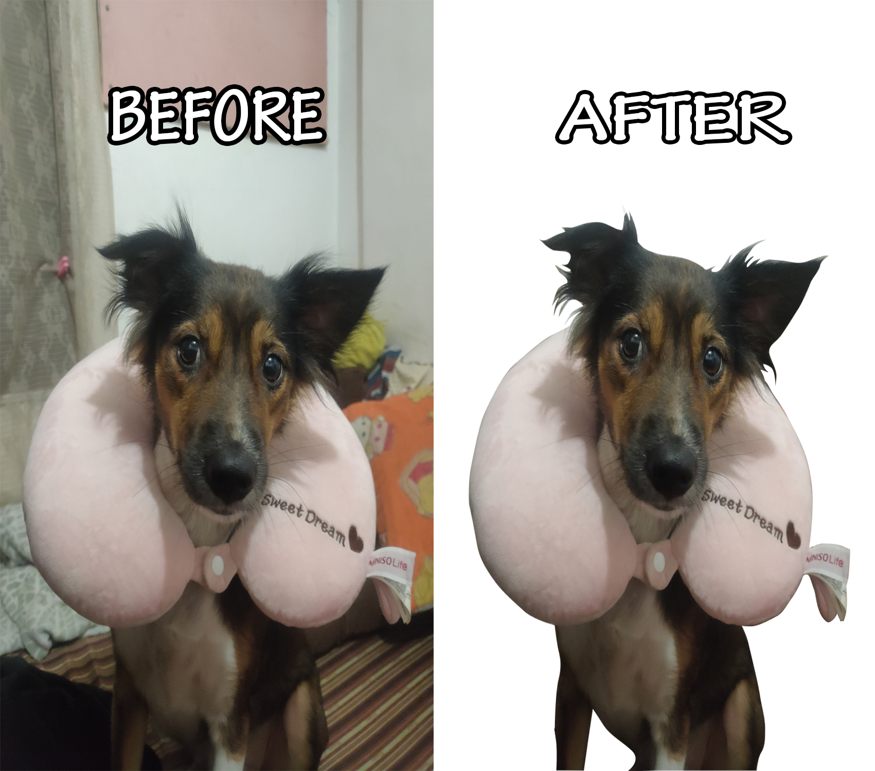 I will do mass background removal for you!