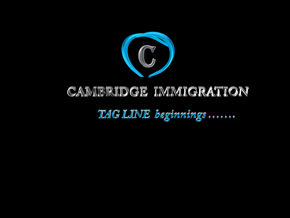 copy and paste , logo making and data entry 